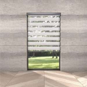 Double Roller Shades Madagascar