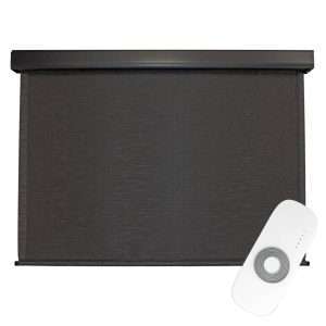 Motorized Shade with Valance - Premier Collection Heavy Duty PVC Fabric
