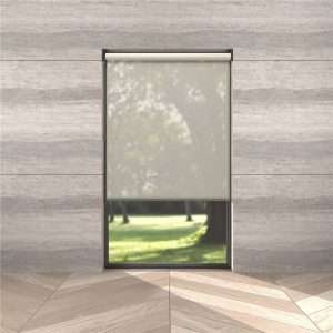 Roman Blinds - Sheer Esvedra